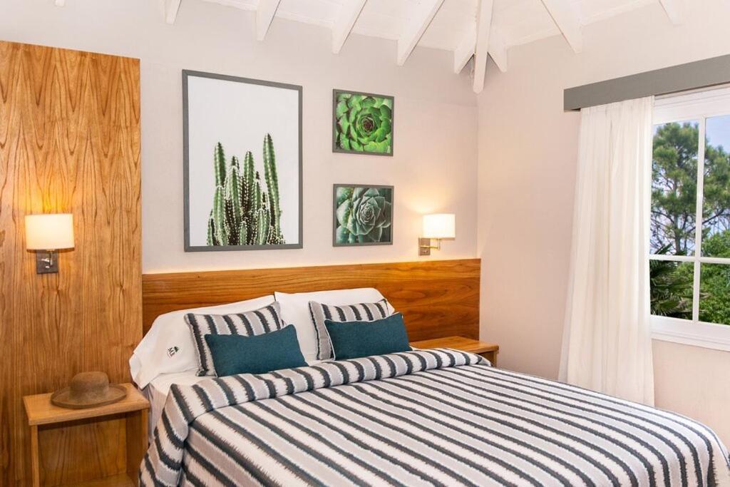 Miradores Del Bosque Apart & Spa Mar de Las Pampas Ngoại thất bức ảnh